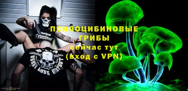 гашик Абдулино