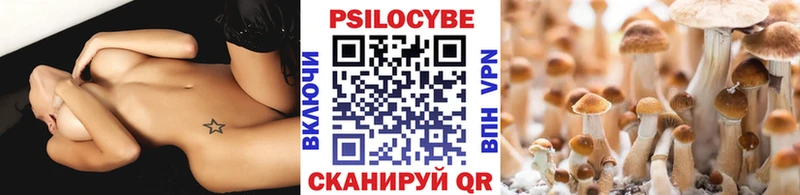 Псилоцибиновые грибы Psilocybine cubensis  где можно купить наркотик  Ува 